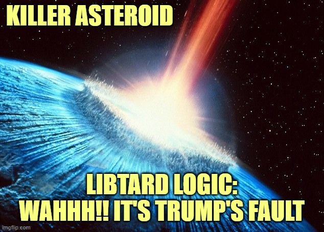 Rabid moon bat lunacy at it's best. | KILLER ASTEROID; LIBTARD LOGIC:
WAHHH!! IT'S TRUMP'S FAULT | image tagged in asteroid,trump 2020 | made w/ Imgflip meme maker