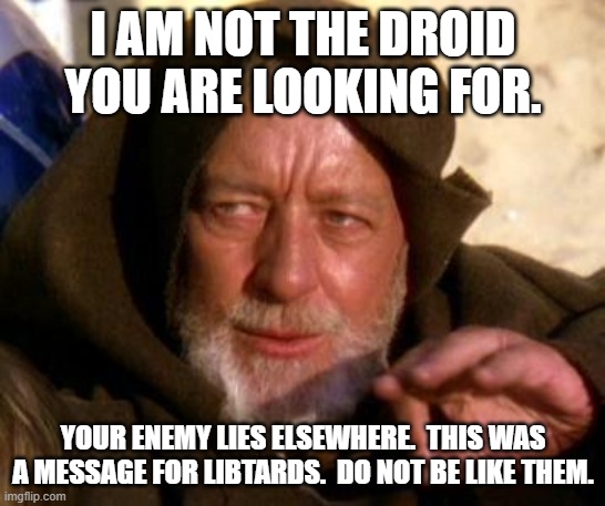Obi Wan Kenobi Jedi Mind Trick | I AM NOT THE DROID YOU ARE LOOKING FOR. YOUR ENEMY LIES ELSEWHERE.  THIS WAS A MESSAGE FOR LIBTARDS.  DO NOT BE LIKE THEM. | image tagged in obi wan kenobi jedi mind trick | made w/ Imgflip meme maker