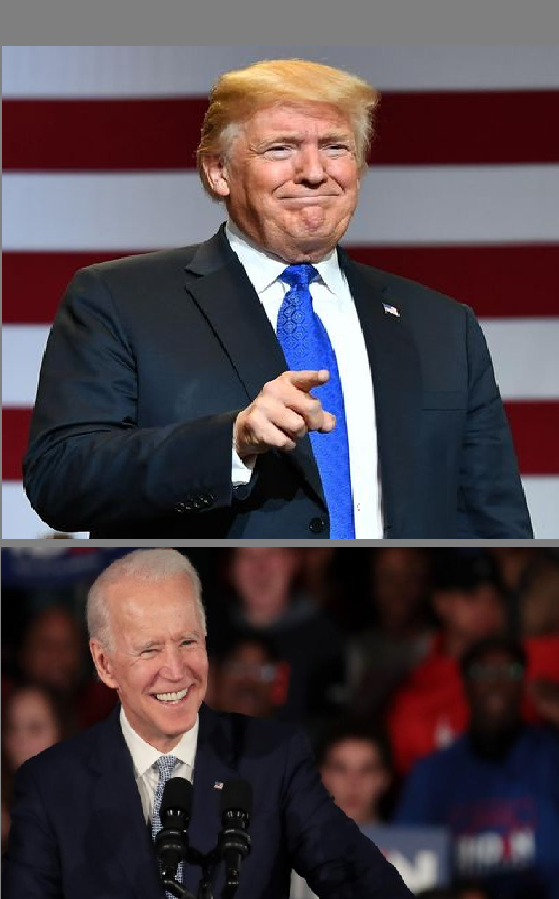 Trump and Biden Blank Meme Template