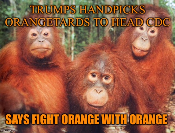 TRUMPS HANDPICKS ORANGETARDS TO HEAD CDC SAYS FIGHT ORANGE WITH ORANGE | made w/ Imgflip meme maker