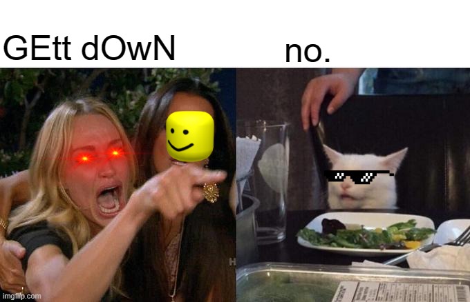 my cat in a nutshell | GEtt dOwN; no. | image tagged in memes,woman yelling at cat | made w/ Imgflip meme maker