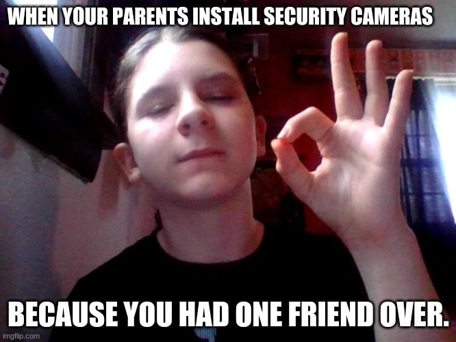 Sarcastic Jon | WHEN YOUR PARENTS INSTALL SECURITY CAMERAS; BECAUSE YOU HAD ONE FRIEND OVER. | image tagged in sarcasm | made w/ Imgflip meme maker