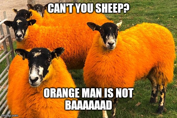 A field of conservatives | CAN'T YOU SHEEP? ORANGE MAN IS NOT
BAAAAAAD | image tagged in sheep,orange,conservatives | made w/ Imgflip meme maker
