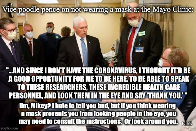 Vice poodle at the Mayo Clinic. | Vice poodle pence on not wearing a mask at the Mayo Clinic:; "...AND SINCE I DON'T HAVE THE CORONAVIRUS, I THOUGHT IT'D BE
 A GOOD OPPORTUNITY FOR ME TO BE HERE, TO BE ABLE TO SPEAK
 TO THESE RESEARCHERS, THESE INCREDIBLE HEALTH CARE
 PERSONNEL, AND LOOK THEM IN THE EYE AND SAY 'THANK YOU.' "; Um, Mikey? I hate to tell you bud, but if you think wearing
  a mask prevents you from looking people in the eye, you
 may need to consult the instructions.  Or look around you. NLG | image tagged in politics,political meme,political | made w/ Imgflip meme maker