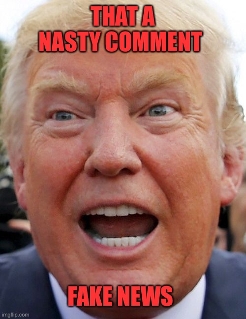 THAT A NASTY COMMENT FAKE NEWS | made w/ Imgflip meme maker