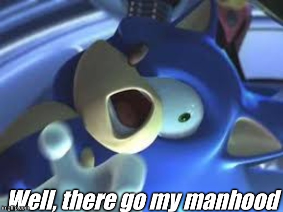 Sonic in pain | Well, there go my manhood | image tagged in sonic in pain | made w/ Imgflip meme maker