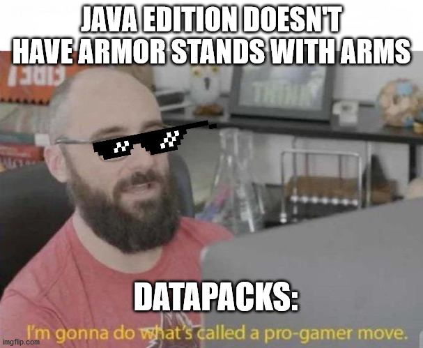Datapacks help minecraft | JAVA EDITION DOESN'T HAVE ARMOR STANDS WITH ARMS; DATAPACKS: | image tagged in pro gamer move | made w/ Imgflip meme maker