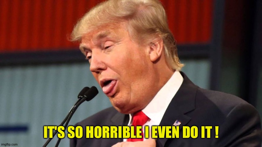 Stupid trump | IT'S SO HORRIBLE I EVEN DO IT ! | image tagged in stupid trump | made w/ Imgflip meme maker