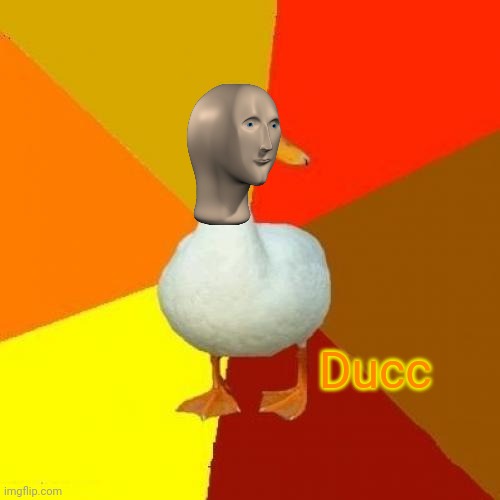 Ducc | Ducc | image tagged in memes,tech impaired duck | made w/ Imgflip meme maker