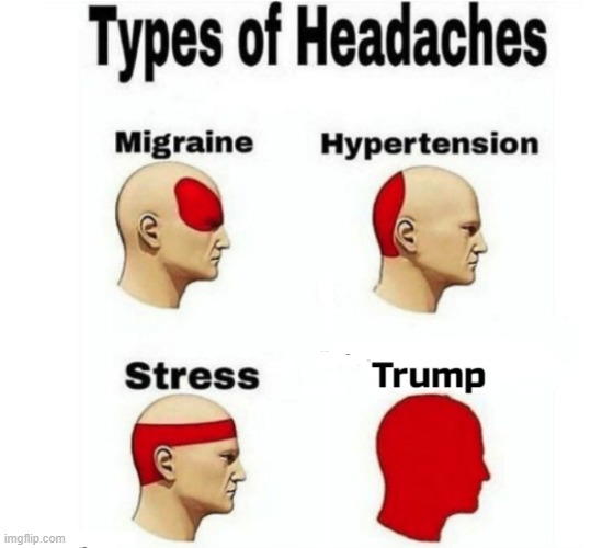 Headache Causes | image tagged in stress headache causes,trump,donald trump memes | made w/ Imgflip meme maker
