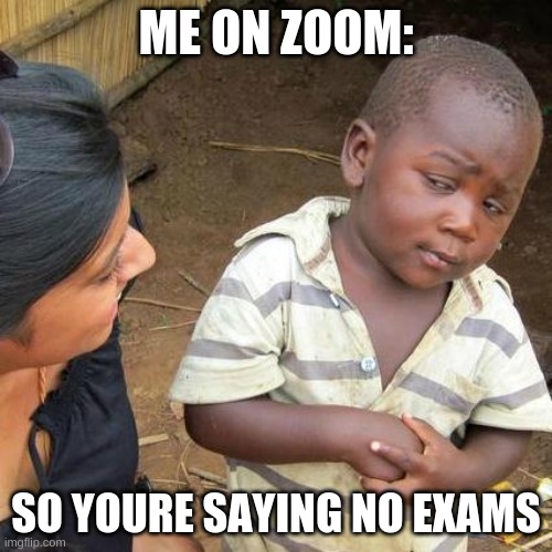 Third World Skeptical Kid | ME ON ZOOM:; SO YOURE SAYING NO EXAMS | image tagged in memes,third world skeptical kid | made w/ Imgflip meme maker