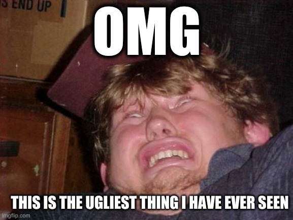 SO UGLY | OMG; THIS IS THE UGLIEST THING I HAVE EVER SEEN | image tagged in memes | made w/ Imgflip meme maker