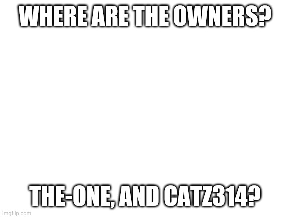 Blank White Template | WHERE ARE THE OWNERS? THE-ONE, AND CATZ314? | image tagged in blank white template | made w/ Imgflip meme maker