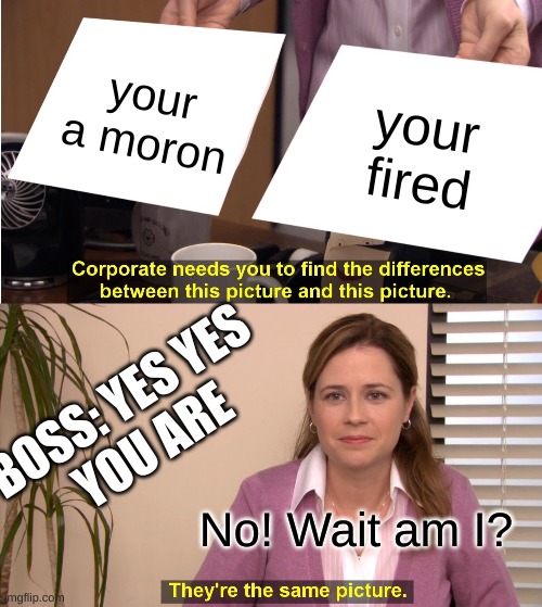 They're The Same Picture | your a moron; your fired; BOSS: YES YES 
YOU ARE; No! Wait am I? | image tagged in memes,they're the same picture | made w/ Imgflip meme maker