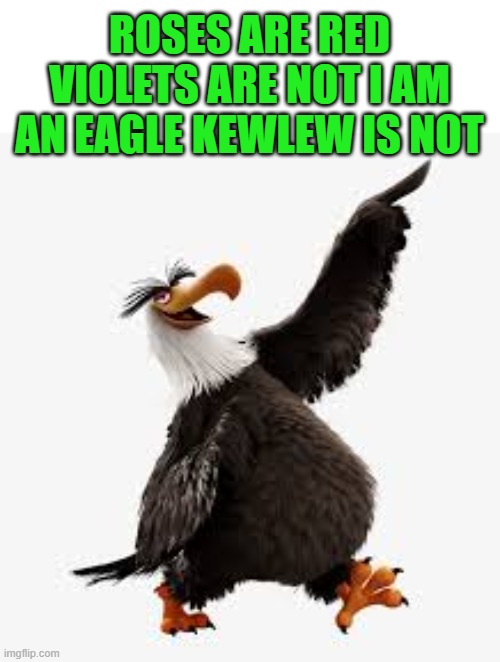 a poem by kewlew | ROSES ARE RED VIOLETS ARE NOT I AM AN EAGLE KEWLEW IS NOT | image tagged in angry birds eagle,kewlew | made w/ Imgflip meme maker