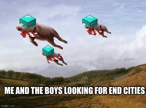 Me and the boys looking for end cities | ME AND THE BOYS LOOKING FOR END CITIES | image tagged in pigs fly | made w/ Imgflip meme maker