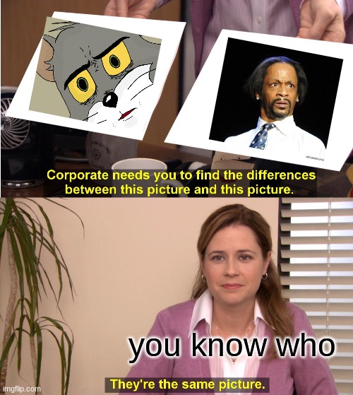 They're The Same Picture | you know who | image tagged in memes,they're the same picture | made w/ Imgflip meme maker
