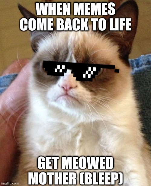 Rise of the cat | WHEN MEMES COME BACK TO LIFE; GET MEOWED MOTHER (BLEEP) | image tagged in memes,grumpy cat | made w/ Imgflip meme maker