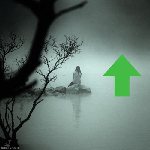 Sitting alone on a rock in a quiet foggy lake | image tagged in sitting alone on a rock in a quiet foggy lake | made w/ Imgflip meme maker