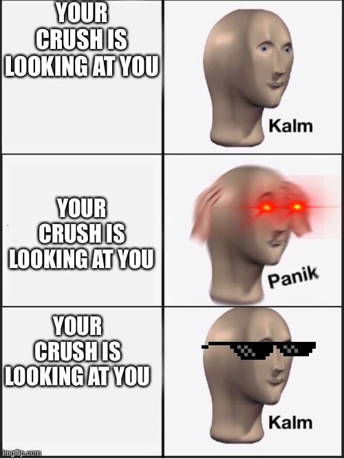 Your average MeeM | YOUR CRUSH IS LOOKING AT YOU; YOUR CRUSH IS LOOKING AT YOU; YOUR CRUSH IS LOOKING AT YOU | image tagged in kalm panik kalm | made w/ Imgflip meme maker