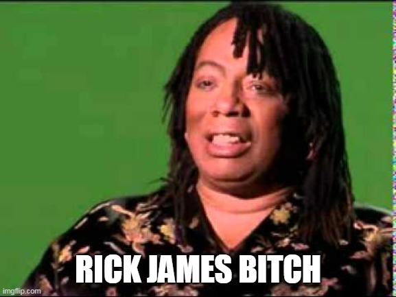 Rick James | RICK JAMES BITCH | image tagged in rick james | made w/ Imgflip meme maker