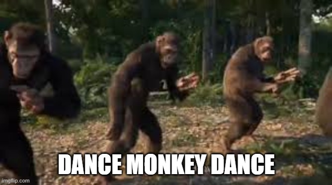 dance monkey dance | DANCE MONKEY DANCE | image tagged in monkey business | made w/ Imgflip meme maker