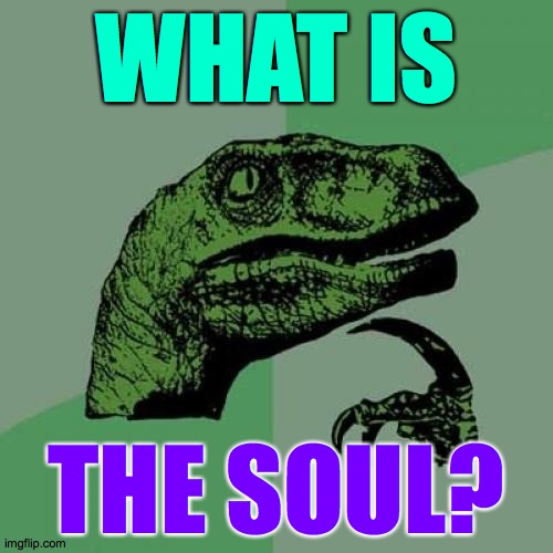 Philosoraptor | WHAT IS; THE SOUL? | image tagged in memes,philosoraptor,soul,if anything | made w/ Imgflip meme maker