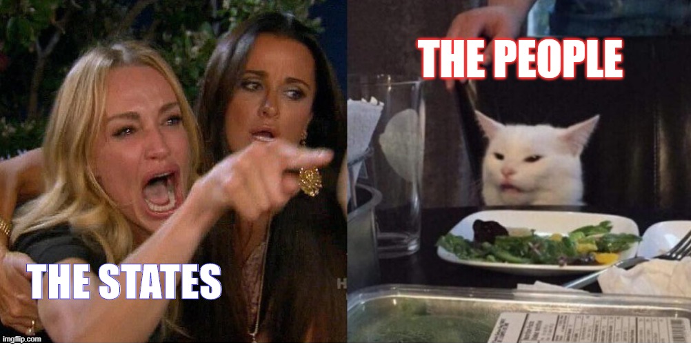 salad cat | THE PEOPLE; THE STATES | image tagged in salad cat | made w/ Imgflip meme maker