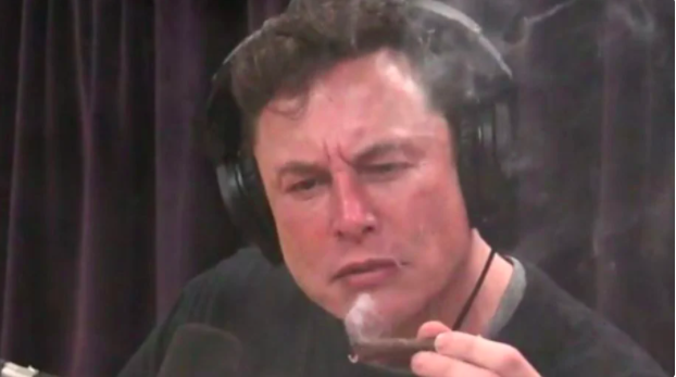 High Quality Elon Musik Weed Blank Meme Template