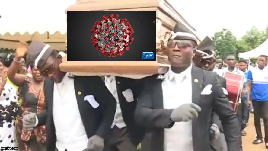 Coffin Dance | image tagged in coffin dance | made w/ Imgflip meme maker