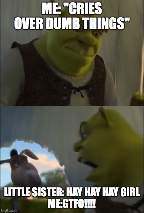 Shrek yelling at donkey | ME: "CRIES OVER DUMB THINGS"; LITTLE SISTER: HAY HAY HAY GIRL
ME:GTFO!!!! | image tagged in shrek yelling at donkey | made w/ Imgflip meme maker