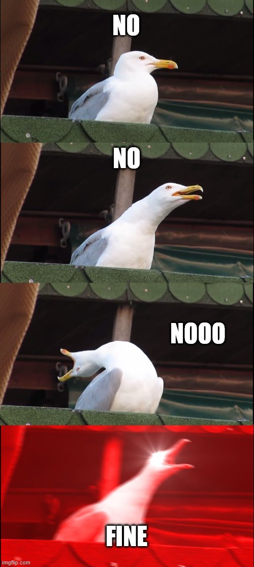 Inhaling Seagull Meme | NO NO NOOO FINE | image tagged in memes,inhaling seagull | made w/ Imgflip meme maker