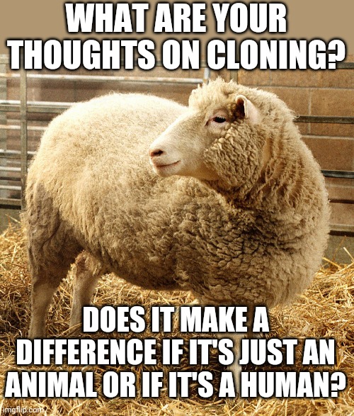 Is cloning ethical? | WHAT ARE YOUR THOUGHTS ON CLONING? DOES IT MAKE A DIFFERENCE IF IT'S JUST AN ANIMAL OR IF IT'S A HUMAN? | image tagged in clones,thinking,ethics | made w/ Imgflip meme maker