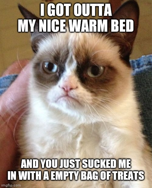 Grumpy Cat | I GOT OUTTA MY NICE WARM BED; AND YOU JUST SUCKED ME IN WITH A EMPTY BAG OF TREATS | image tagged in memes,grumpy cat | made w/ Imgflip meme maker