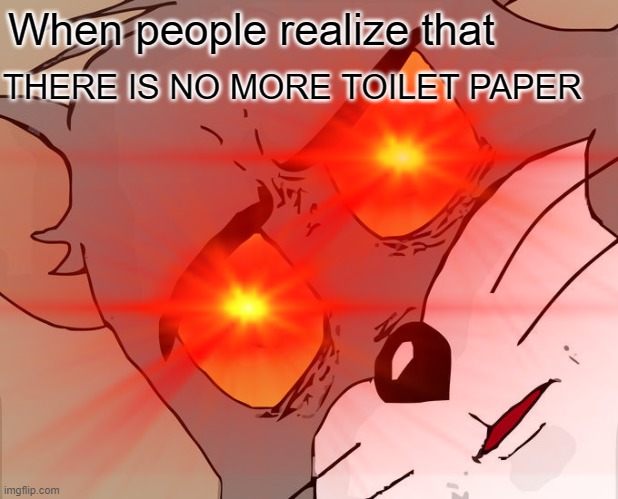 The toilet paper | When people realize that; THERE IS NO MORE TOILET PAPER | image tagged in funny memes | made w/ Imgflip meme maker