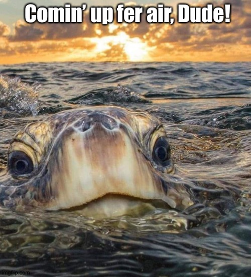 Comin’ up fer air, Dude! | made w/ Imgflip meme maker