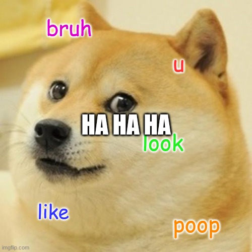 not funny memes | bruh; u; HA HA HA; look; like; poop | image tagged in memes,doge | made w/ Imgflip meme maker