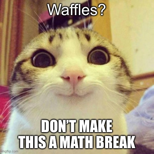 Waffles? | Waffles? DON’T MAKE THIS A MATH BREAK | image tagged in memes,smiling cat | made w/ Imgflip meme maker