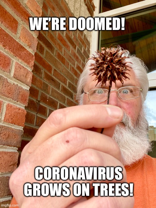 Coronavirus On Trees | WE’RE DOOMED! CORONAVIRUS GROWS ON TREES! | image tagged in coronavirus,social distancing,covid19,spring,stay at home | made w/ Imgflip meme maker