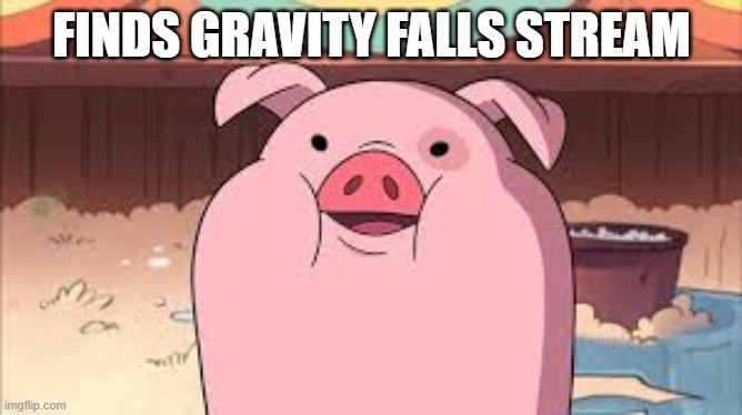 Im home | FINDS GRAVITY FALLS STREAM | image tagged in waddles | made w/ Imgflip meme maker