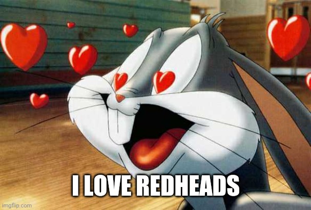 I LOVE REDHEADS | made w/ Imgflip meme maker