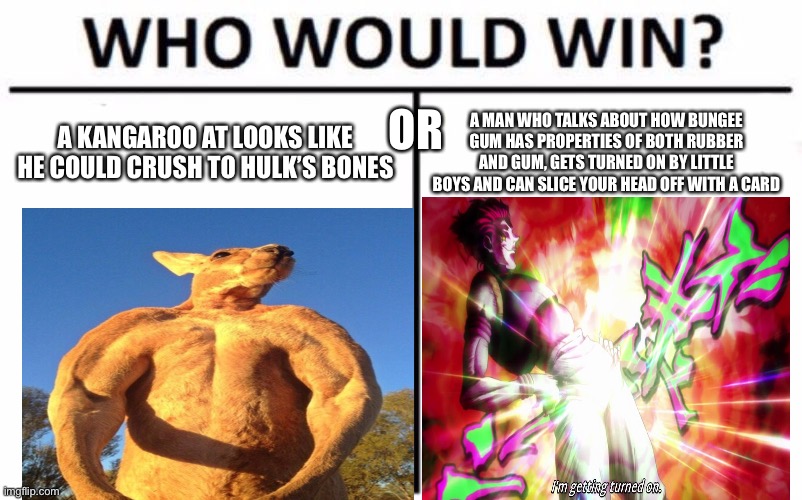 I’m voting Hisoka | A KANGAROO AT LOOKS LIKE HE COULD CRUSH TO HULK’S BONES; A MAN WHO TALKS ABOUT HOW BUNGEE GUM HAS PROPERTIES OF BOTH RUBBER AND GUM, GETS TURNED ON BY LITTLE BOYS AND CAN SLICE YOUR HEAD OFF WITH A CARD; OR | image tagged in memes,who would win | made w/ Imgflip meme maker