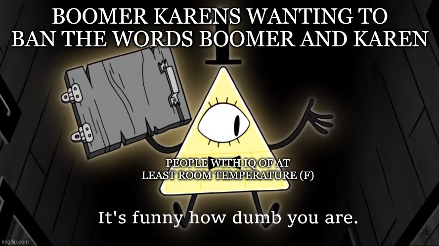 It's Funny How Dumb You Are Bill Cipher | BOOMER KARENS WANTING TO BAN THE WORDS BOOMER AND KAREN; PEOPLE WITH IQ OF AT LEAST ROOM TEMPERATURE (F) | image tagged in it's funny how dumb you are bill cipher | made w/ Imgflip meme maker