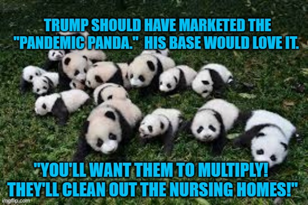Introducing, "The Pandemic Panda!" | TRUMP SHOULD HAVE MARKETED THE "PANDEMIC PANDA."  HIS BASE WOULD LOVE IT. "YOU'LL WANT THEM TO MULTIPLY!  THEY'LL CLEAN OUT THE NURSING HOMES!" | image tagged in humor | made w/ Imgflip meme maker