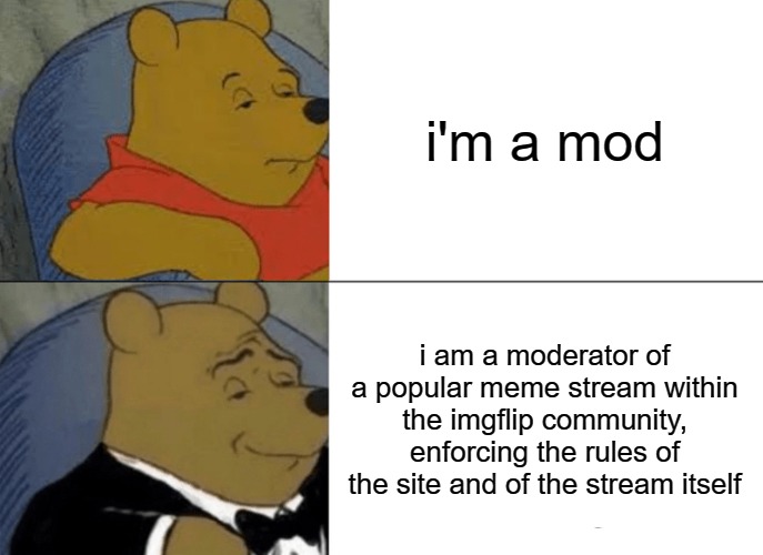 Tuxedo Winnie The Pooh | i'm a mod; i am a moderator of a popular meme stream within the imgflip community, enforcing the rules of the site and of the stream itself | image tagged in memes,tuxedo winnie the pooh,everyones_a_mod | made w/ Imgflip meme maker