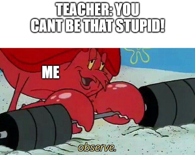 Observe | TEACHER: YOU CANT BE THAT STUPID! ME | image tagged in observe | made w/ Imgflip meme maker