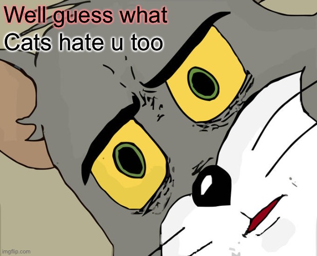 Well guess what Cats hate u too | image tagged in memes,unsettled tom | made w/ Imgflip meme maker