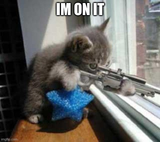Cat Sniper | IM ON IT | image tagged in cat sniper | made w/ Imgflip meme maker