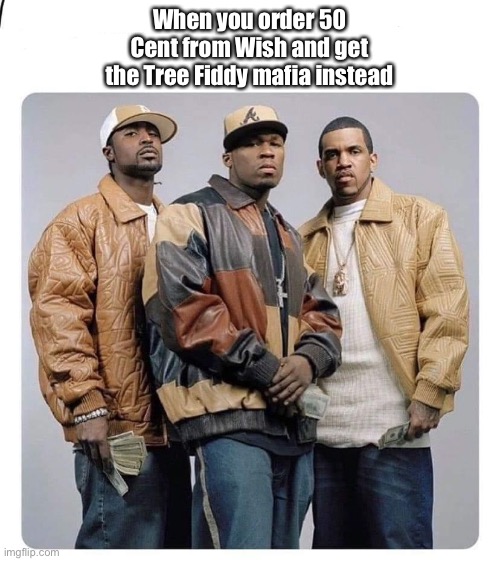 When you order 50 Cent from Wish and get the Tree Fiddy mafia instead | image tagged in 50 cent,36mafia,memes,wish,fail | made w/ Imgflip meme maker