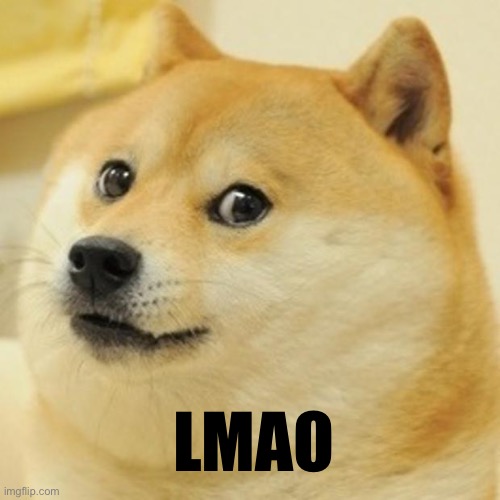 Doge Meme | LMAO | image tagged in memes,doge | made w/ Imgflip meme maker